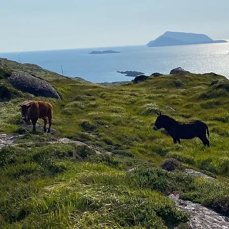 アパート Unique Old Stone *