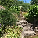 Unique Old Stone Killarney
