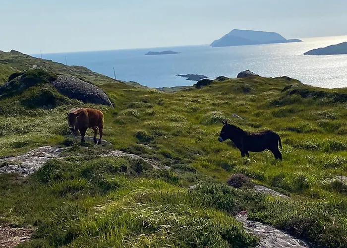 Apartamento Unique Old Stone *